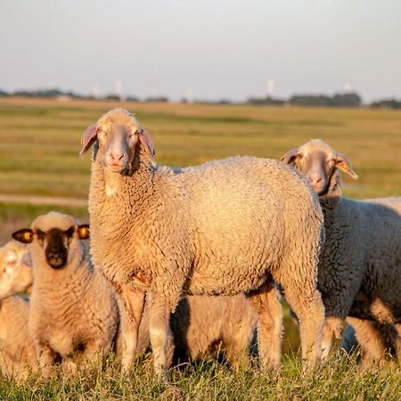 Leichte Brise Lägenhet Greetsiel Exteriör bild